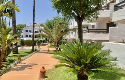 Resale - Apartment - Ground Floor Apartment - Estepona - Costalita