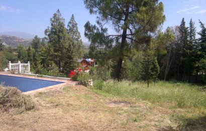 Resale - House - Finca - Cortijo - Marbella - Guadalmina Alta