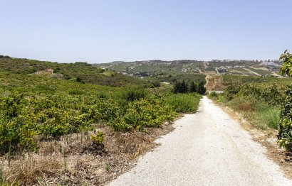 Resale - House - Finca - Cortijo - Casares