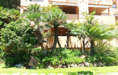 Resale - Apartment - Ground Floor Apartment - Marbella - Guadalmina Baja