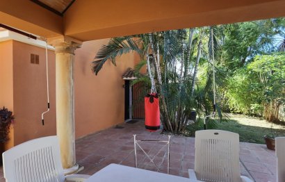 Resale - House - Detached Villa - Marbella - Nueva Andalucia