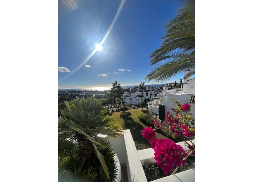 Resale - Apartment - Penthouse Duplex - Marbella - Marbella Centro