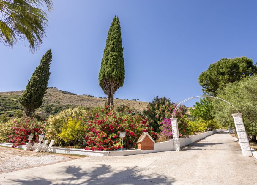 Resale - House - Detached Villa - Alhaurín el Grande - Alhaurín el Grande Centro