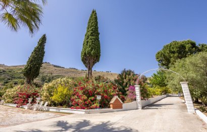 Resale - House - Detached Villa - Alhaurín el Grande - Alhaurín el Grande Centro