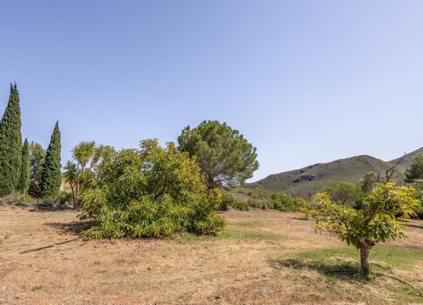 Resale - House - Detached Villa - Alhaurín el Grande - Alhaurín el Grande Centro