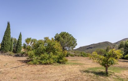 Resale - House - Detached Villa - Alhaurín el Grande - Alhaurín el Grande Centro