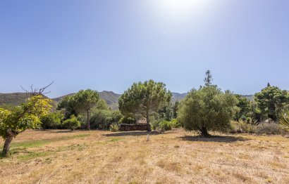 Resale - House - Detached Villa - Alhaurín el Grande - Alhaurín el Grande Centro