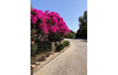 Resale - Apartment - Ground Floor Apartment - Marbella - Marbesa