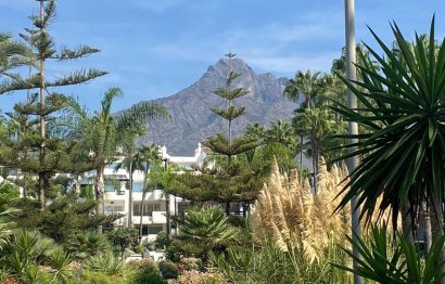 Resale - Apartment - Ground Floor Apartment - Marbella