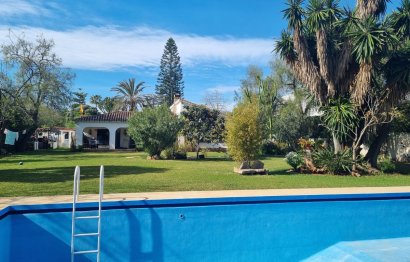 Resale - House - Detached Villa - Marbella - Puerto Banús