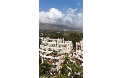 Resale - Apartment - Middle Floor Apartment - Marbella - Nueva Andalucia