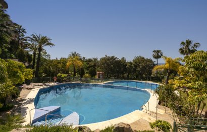 Resale - Apartment - Middle Floor Apartment - Marbella - Nueva Andalucia