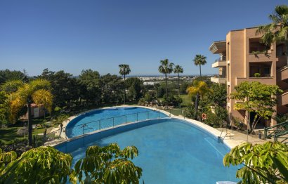 Resale - Apartment - Middle Floor Apartment - Marbella - Nueva Andalucia