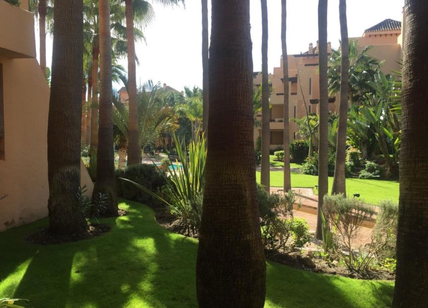 Resale - Apartment - Ground Floor Apartment - Marbella - San Pedro De Alcantara