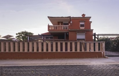 Resale - House - Detached Villa - Marbella - San Pedro De Alcantara