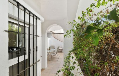 Resale - Apartment - Ground Floor Apartment - Marbella - Nueva Andalucia