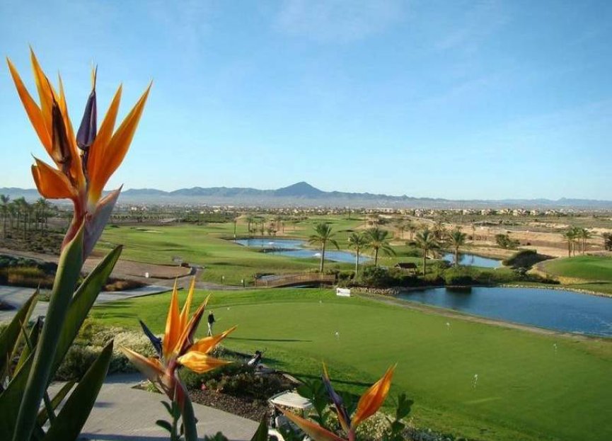 Resale - Apartment - Fuente Alamo - Hacienda del Alamo Golf Resort