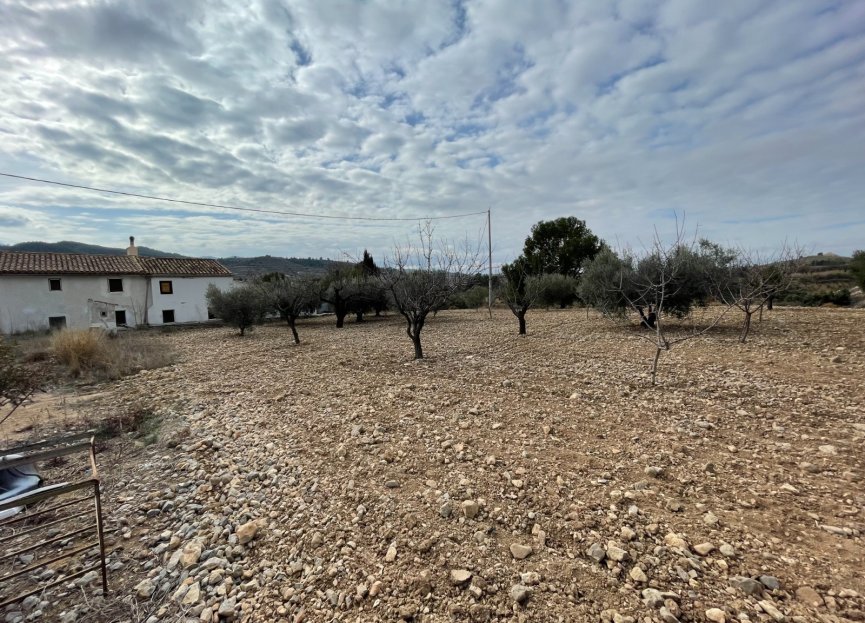 Reventa - Country House - Ricote