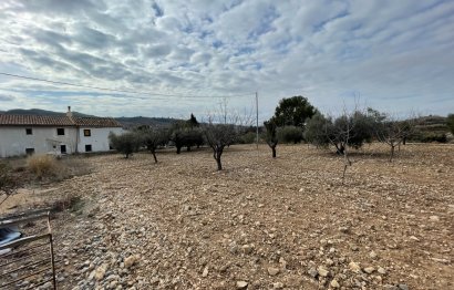 Reventa - Country House - Ricote