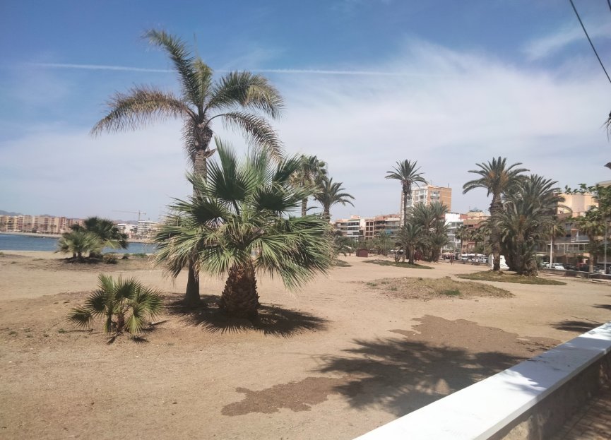 Resale - Apartment - Aguilas - Center