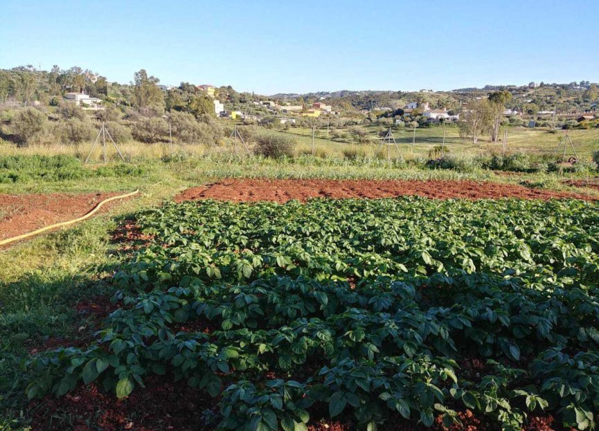 Resale - House - Finca - Cortijo - Mijas - Entrerrios