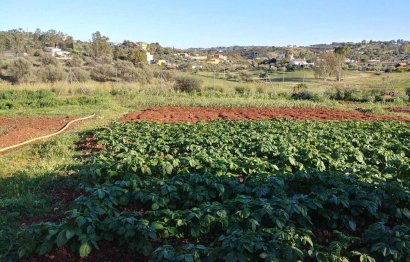 Resale - House - Finca - Cortijo - Mijas - Entrerrios