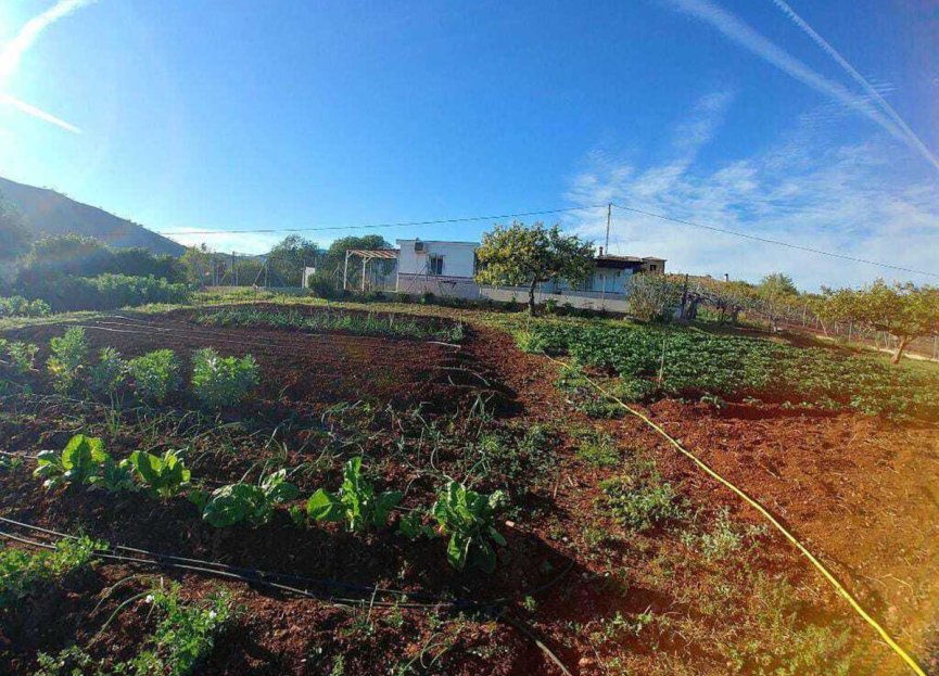 Resale - House - Finca - Cortijo - Mijas - Entrerrios