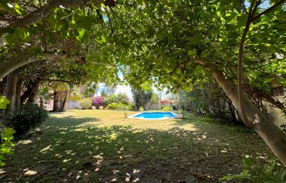 Resale - House - Detached Villa - Marbella - San Pedro De Alcantara