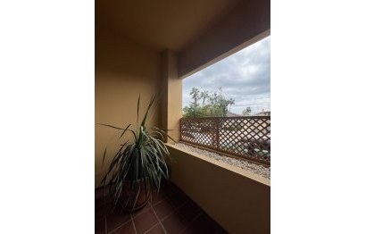 Resale - Apartment - Ground Floor Apartment - Marbella - San Pedro De Alcantara