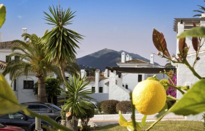 Resale - Apartment - Ground Floor Apartment - Marbella - Nueva Andalucia