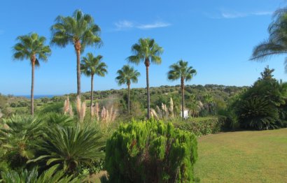 Resale - House - Detached Villa - Sotogrande