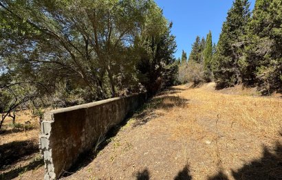 Reventa - Plot - Residential Plot - San Roque