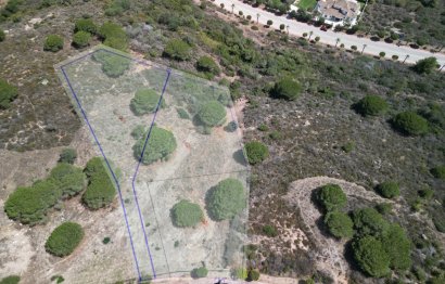 Resale - Plot - Land - Sotogrande