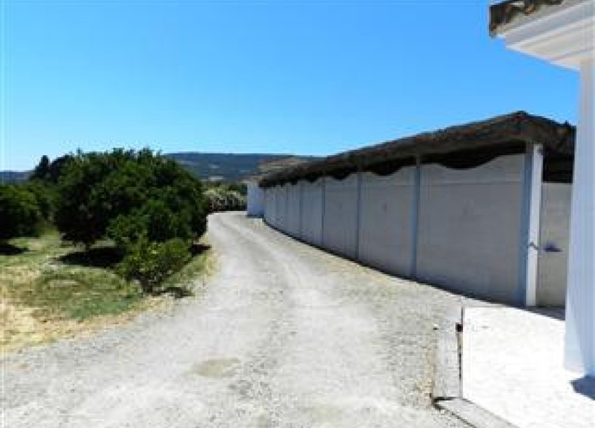 Reventa - House - Finca - Cortijo - San Roque