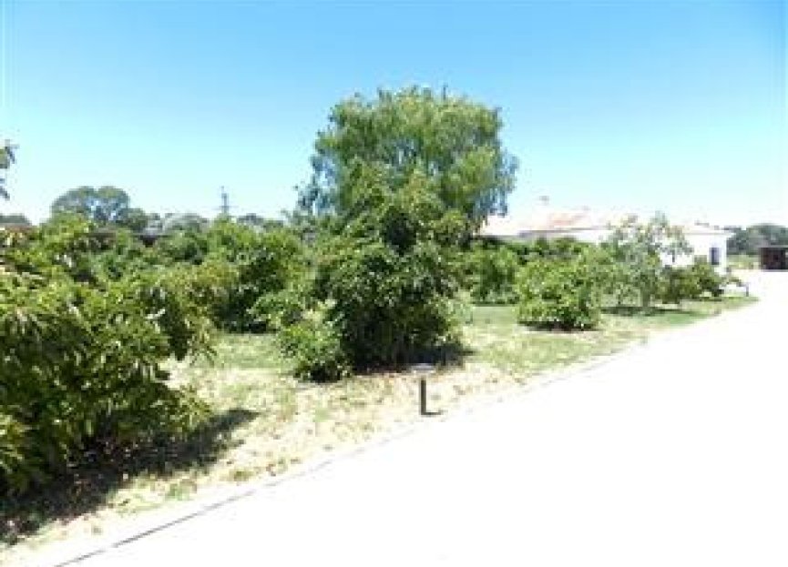 Reventa - House - Finca - Cortijo - San Roque