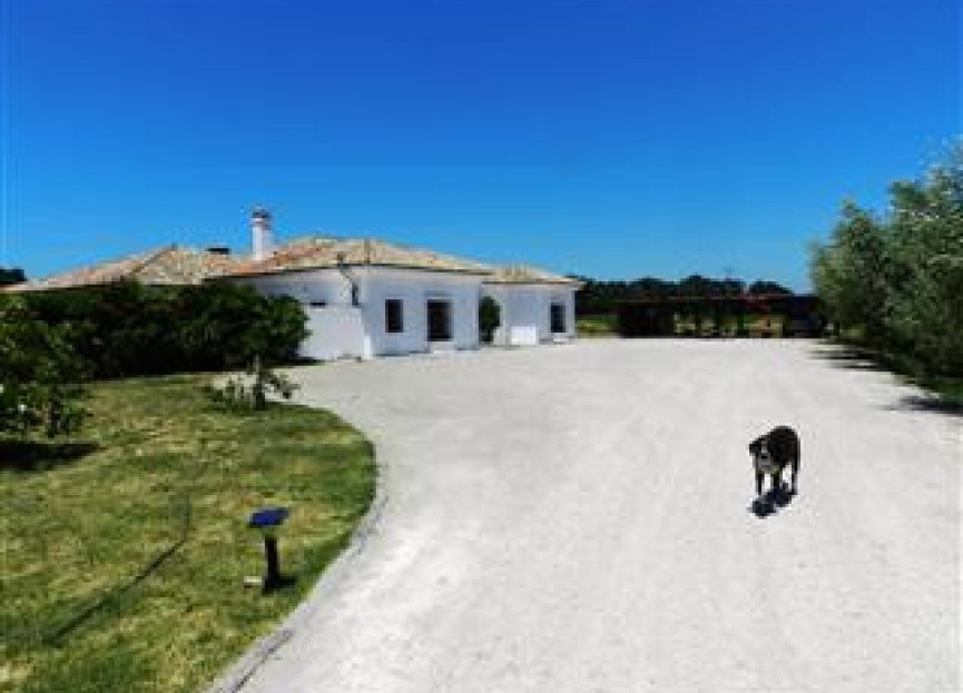 Reventa - House - Finca - Cortijo - San Roque