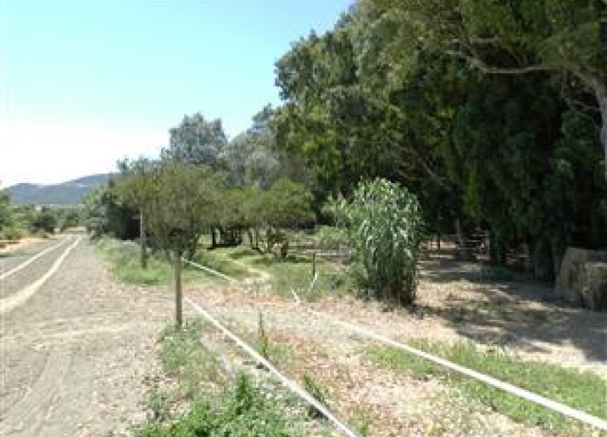 Reventa - House - Finca - Cortijo - San Roque