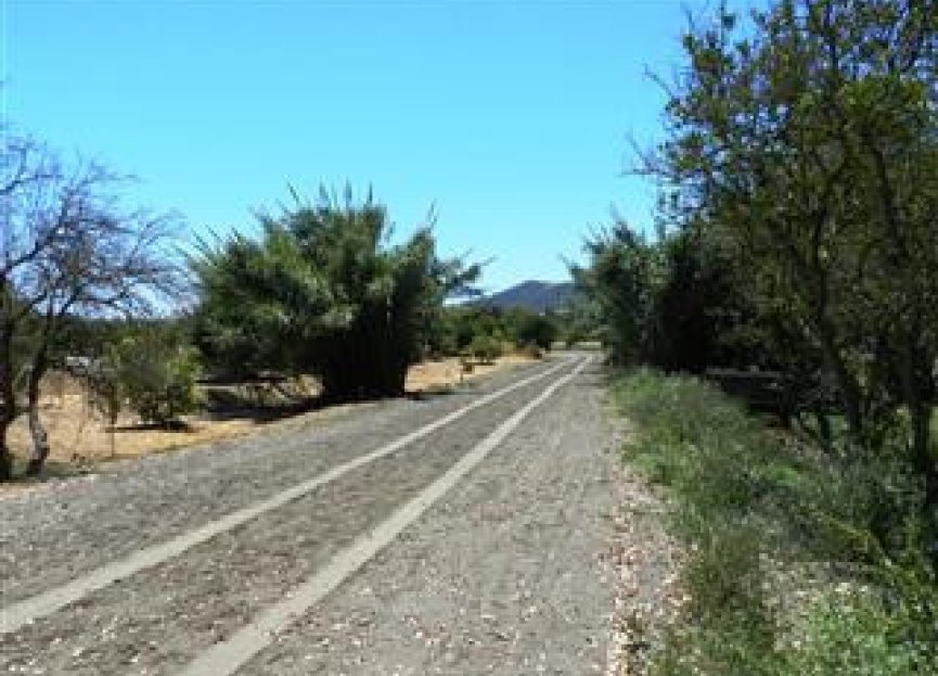 Reventa - House - Finca - Cortijo - San Roque