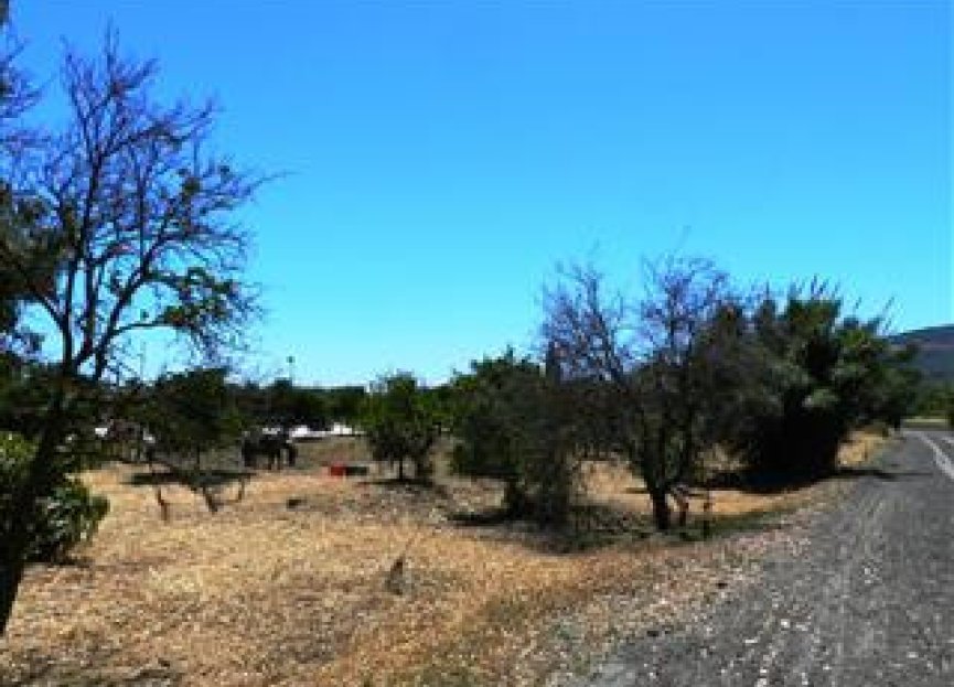 Reventa - House - Finca - Cortijo - San Roque