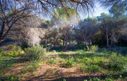 Reventa - Plot - Residential Plot - Sotogrande