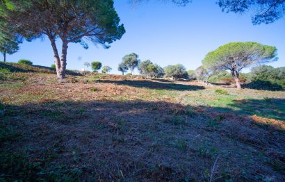 Reventa - Plot - Residential Plot - Sotogrande