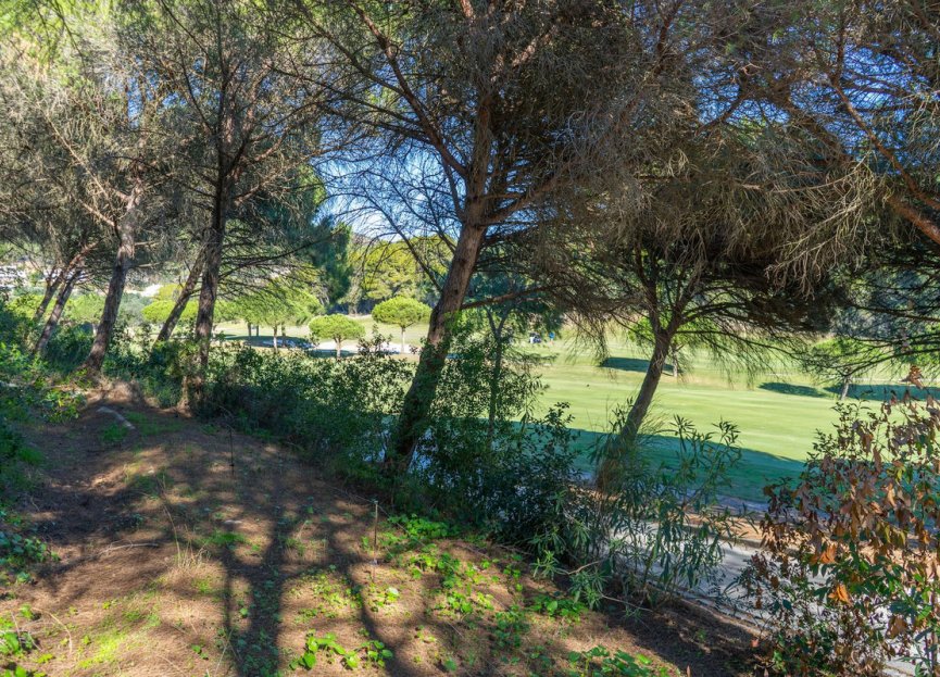 Reventa - Plot - Residential Plot - Sotogrande