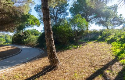 Reventa - Plot - Residential Plot - Sotogrande