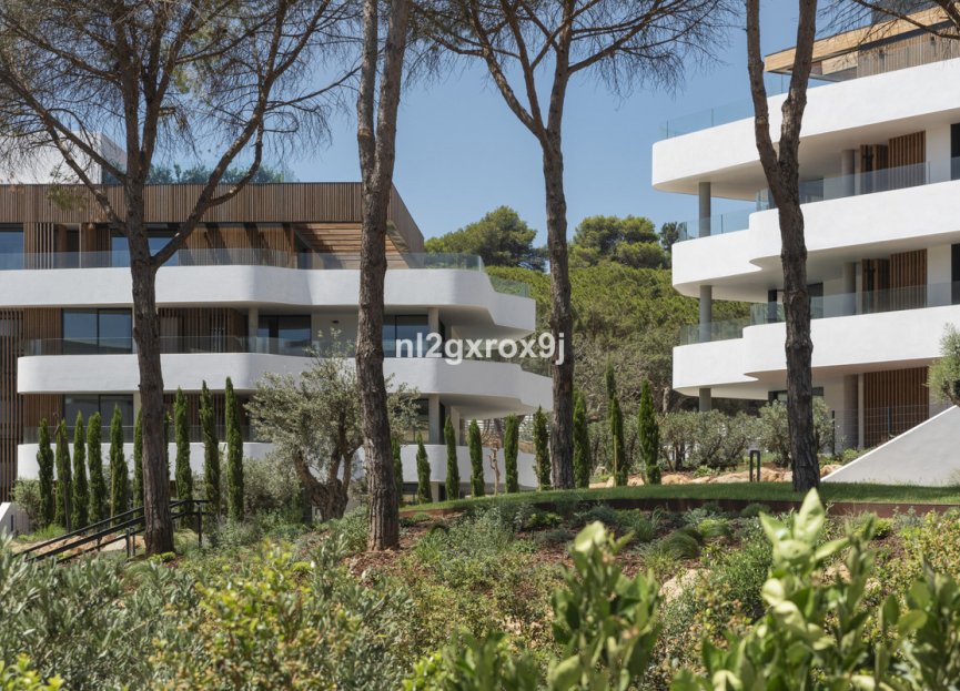 Reventa - Apartment - Middle Floor Apartment - Sotogrande