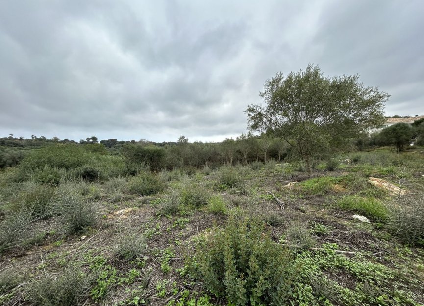 Resale - Plot - Residential Plot - Sotogrande