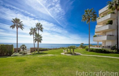 Reventa - Apartment - Ground Floor Apartment - Estepona - Estepona Centro