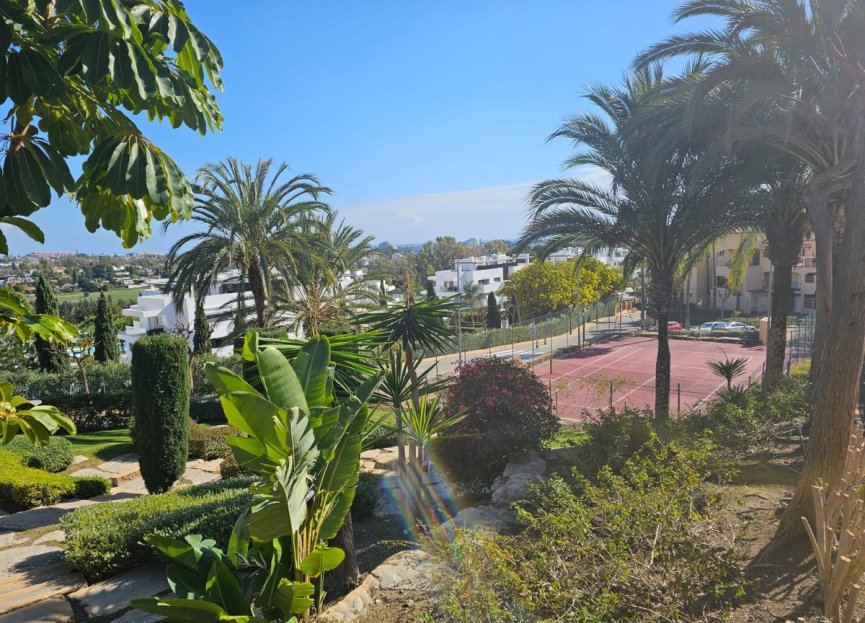 Resale - Apartment - Ground Floor Apartment - Estepona - Atalaya