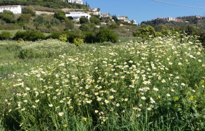 Resale - House - Detached Villa - Benahavís - Benahavís Centro