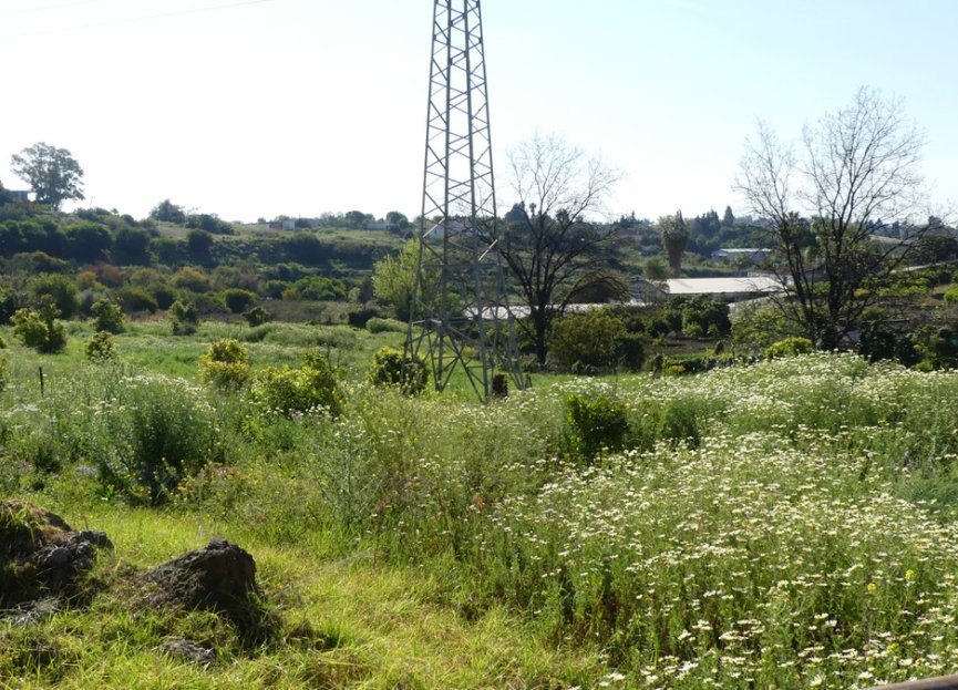 Resale - House - Detached Villa - Benahavís - Benahavís Centro