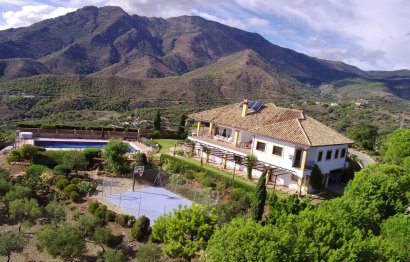 Reventa - House - Finca - Cortijo - Estepona - Estepona Centro